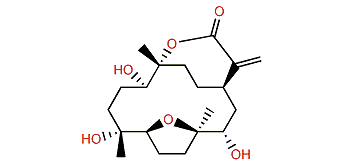 Querciformolide D